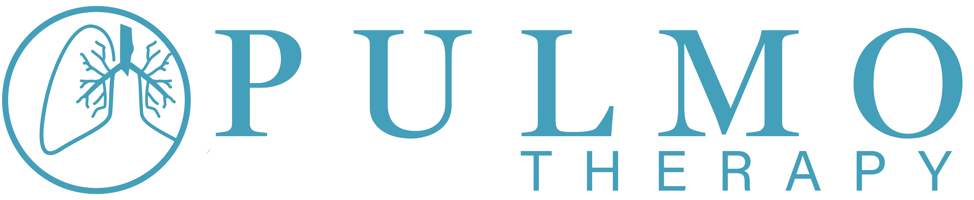 pulmo logo